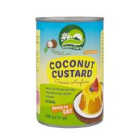 Coconut Custard 400g