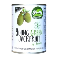 Young Green Jackfruit in Brine 565g
