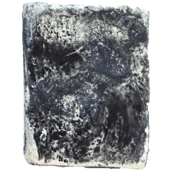 Cheese - Ashed Chevre 190g 